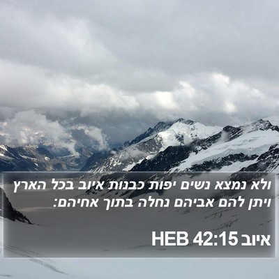 איוב 42:15 HEB Bible Verse Image