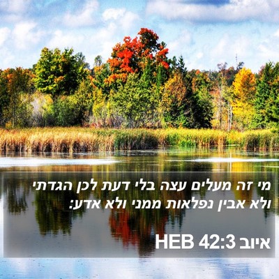 איוב 42:3 HEB Bible Verse Image