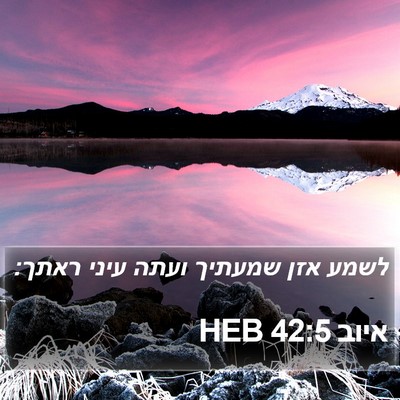 איוב 42:5 HEB Bible Verse Image