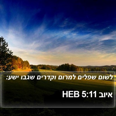 איוב 5:11 HEB Bible Verse Image