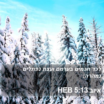 איוב 5:13 HEB Bible Verse Image
