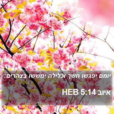 איוב 5:14 HEB Bible Verse Image