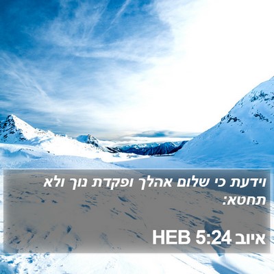 איוב 5:24 HEB Bible Verse Image