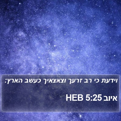 איוב 5:25 HEB Bible Verse Image