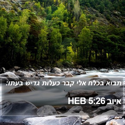 איוב 5:26 HEB Bible Verse Image
