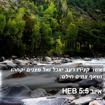 איוב 5:5 HEB Bible Verse Image
