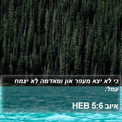 איוב 5:6 HEB Bible Verse Image