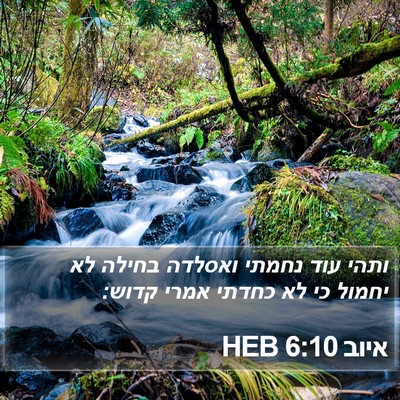 איוב 6:10 HEB Bible Verse Image
