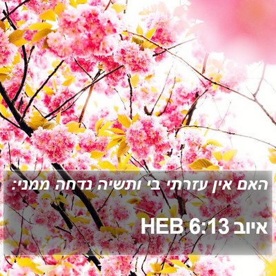 איוב 6:13 HEB Bible Verse Image