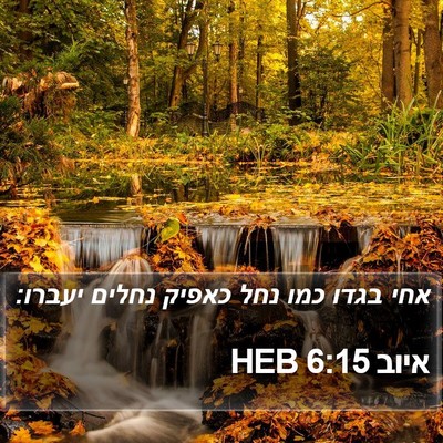 איוב 6:15 HEB Bible Verse Image