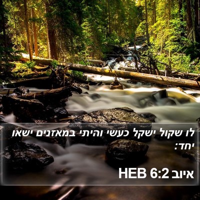 איוב 6:2 HEB Bible Verse Image