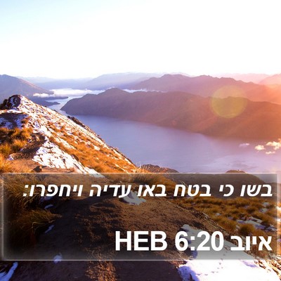 איוב 6:20 HEB Bible Verse Image