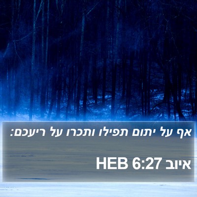 איוב 6:27 HEB Bible Verse Image