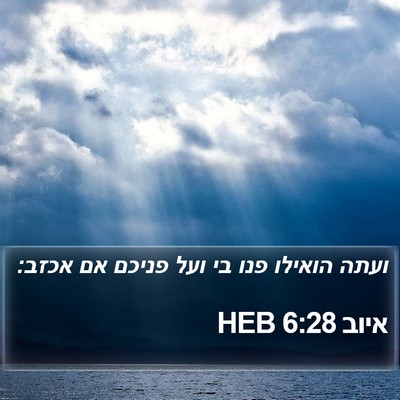 איוב 6:28 HEB Bible Verse Image
