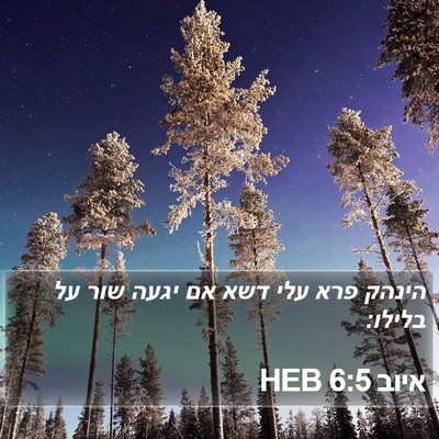 איוב 6:5 HEB Bible Verse Image