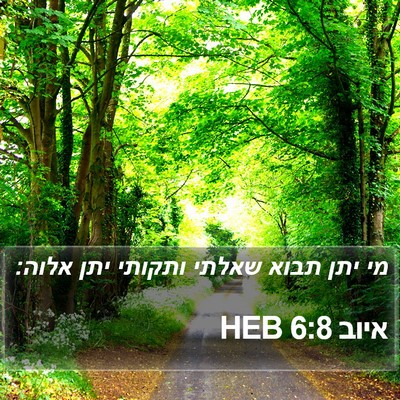 איוב 6:8 HEB Bible Verse Image
