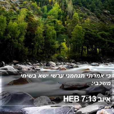 איוב 7:13 HEB Bible Verse Image