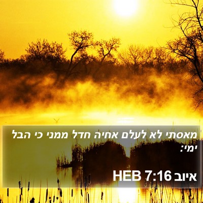 איוב 7:16 HEB Bible Verse Image