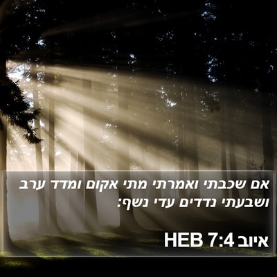 איוב 7:4 HEB Bible Verse Image