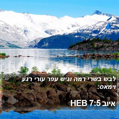 איוב 7:5 HEB Bible Verse Image