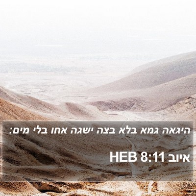 איוב 8:11 HEB Bible Verse Image