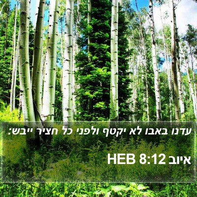 איוב 8:12 HEB Bible Verse Image