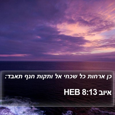 איוב 8:13 HEB Bible Verse Image