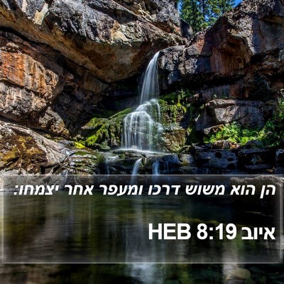 איוב 8:19 HEB Bible Verse Image