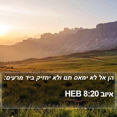 איוב 8:20 HEB Bible Verse Image