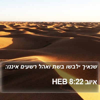 איוב 8:22 HEB Bible Verse Image