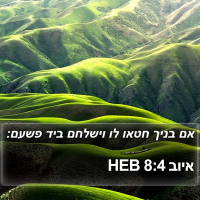 איוב 8:4 HEB Bible Verse Image