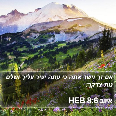 איוב 8:6 HEB Bible Verse Image