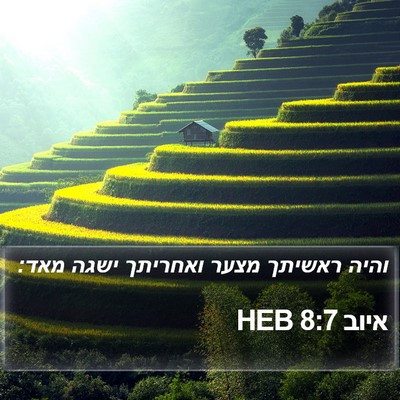 איוב 8:7 HEB Bible Verse Image