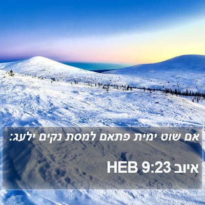 איוב 9:23 HEB Bible Verse Image