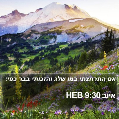 איוב 9:30 HEB Bible Verse Image