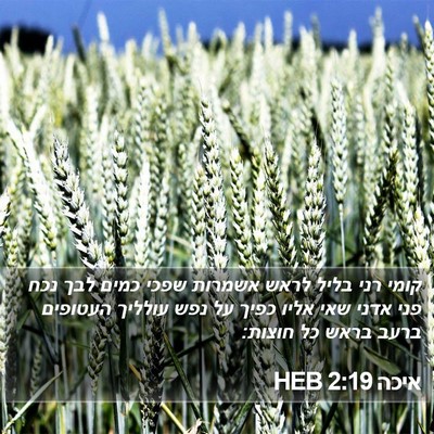 איכה 2:19 HEB Bible Verse Image