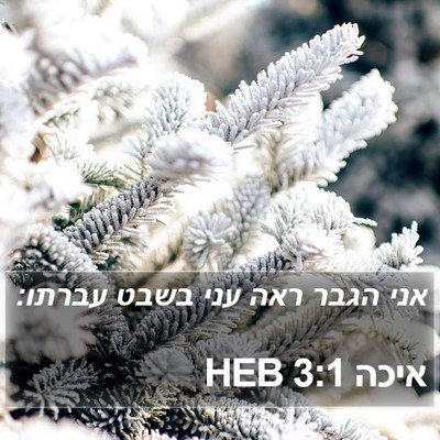 איכה 3:1 HEB Bible Verse Image