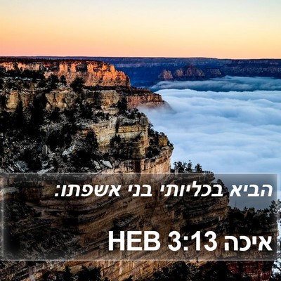 איכה 3:13 HEB Bible Verse Image