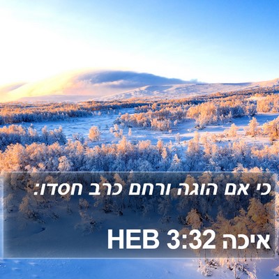 איכה 3:32 HEB Bible Verse Image