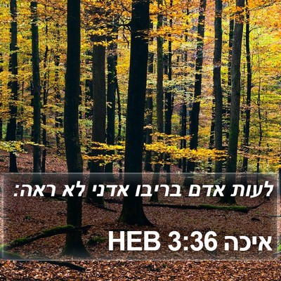 איכה 3:36 HEB Bible Verse Image