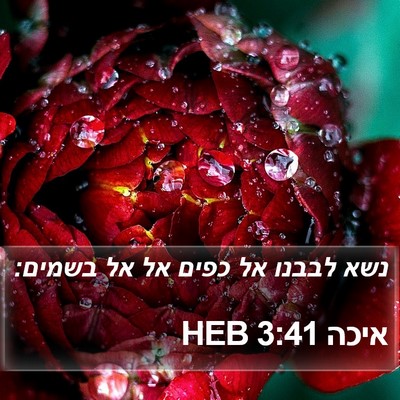 איכה 3:41 HEB Bible Verse Image