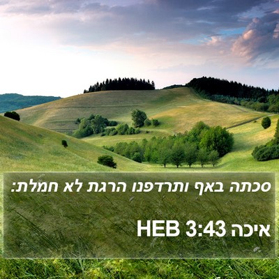איכה 3:43 HEB Bible Verse Image