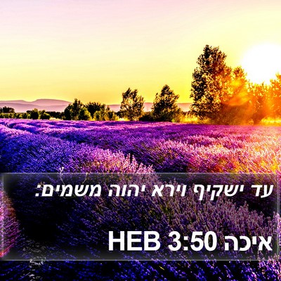 איכה 3:50 HEB Bible Verse Image