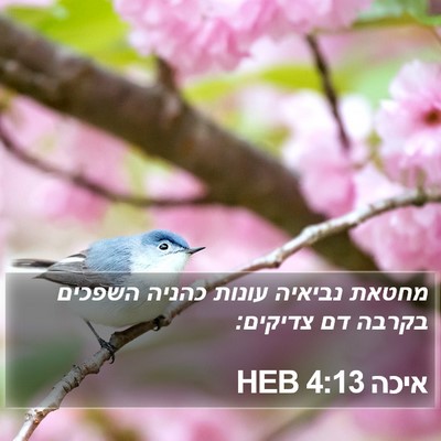 איכה 4:13 HEB Bible Verse Image