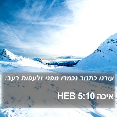 איכה 5:10 HEB Bible Verse Image