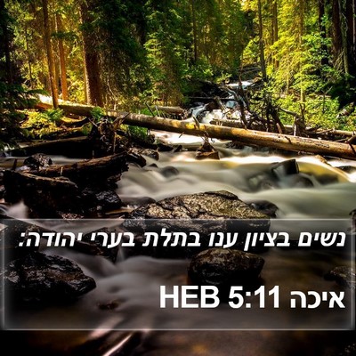 איכה 5:11 HEB Bible Verse Image