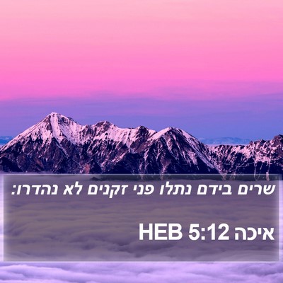איכה 5:12 HEB Bible Verse Image