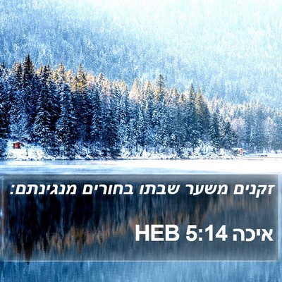 איכה 5:14 HEB Bible Verse Image