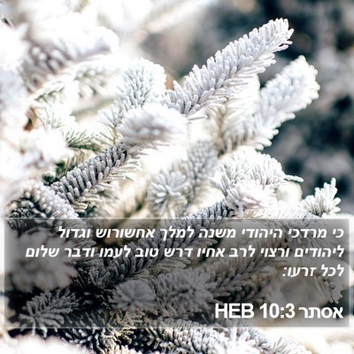 אסתר 10:3 HEB Bible Verse Image