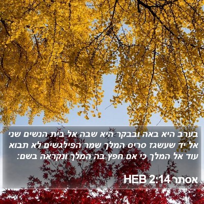 אסתר 2:14 HEB Bible Verse Image